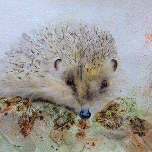 Of Button Eyes and Blackthorn Coat