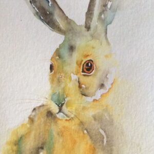 Hare "Should I Stay or Should I Go"